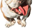 UKMedix WatchDog 2